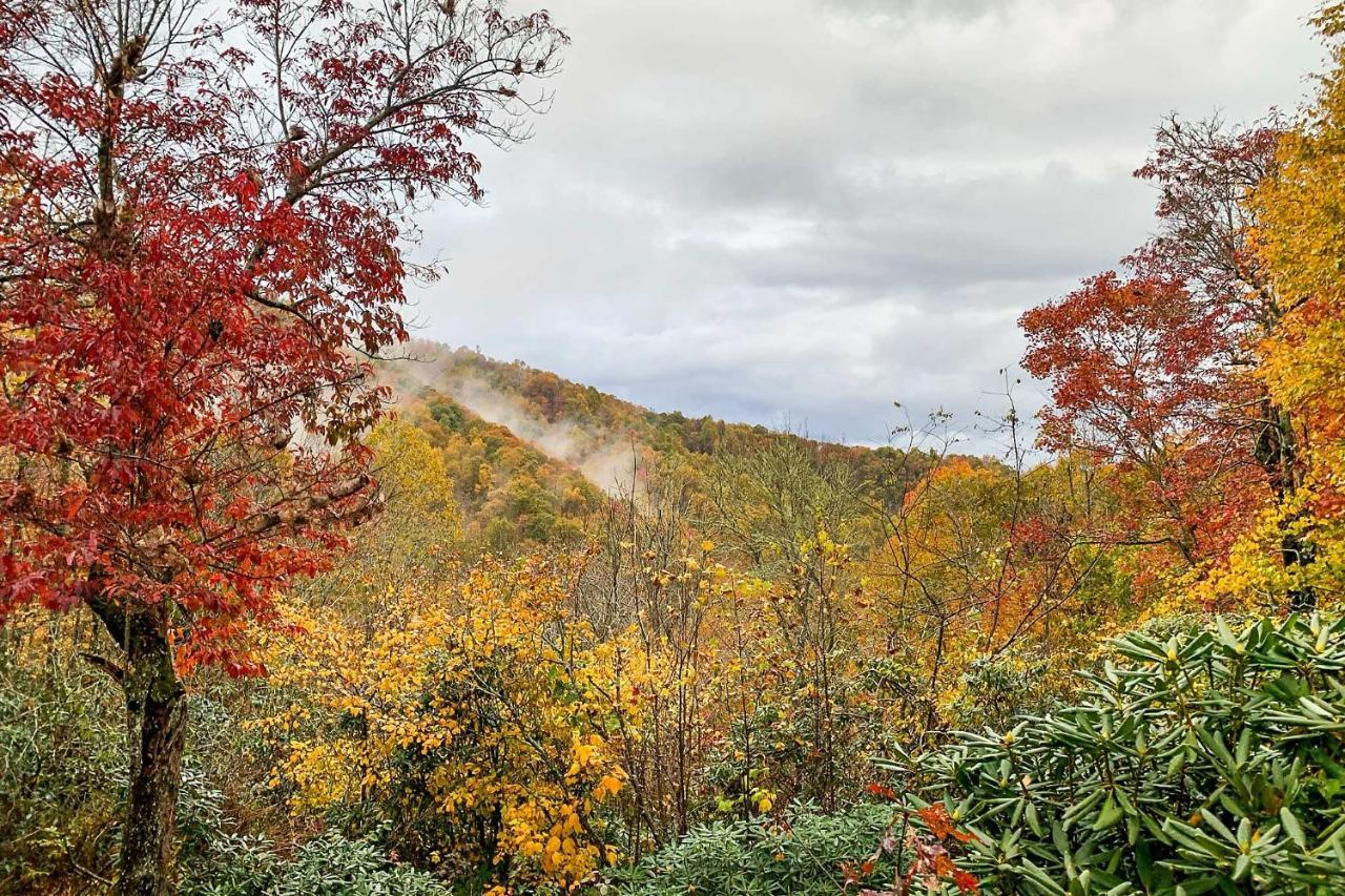 Peaceful Spruce Pine Cabin On 8 Acres With 2 Decks! 외부 사진